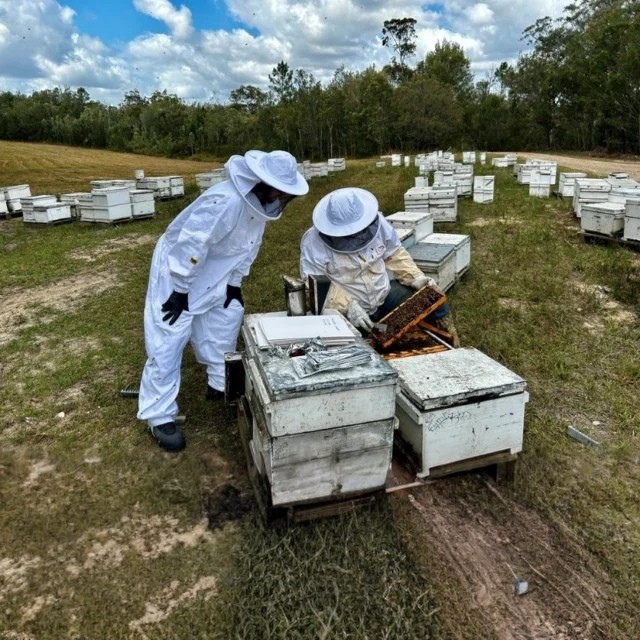 Beginner Beekeeping Course – Brisbane